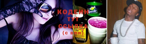 винт Абаза