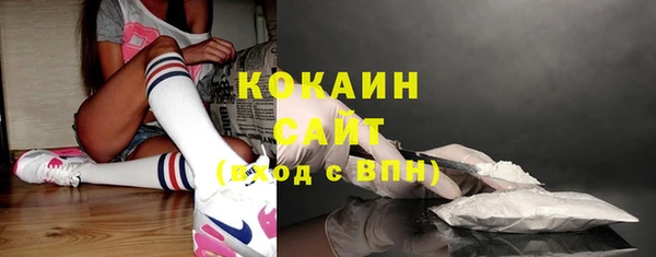 винт Абаза