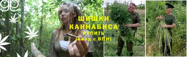 винт Абаза