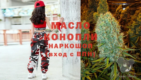 винт Абаза