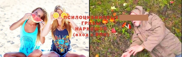 винт Абаза