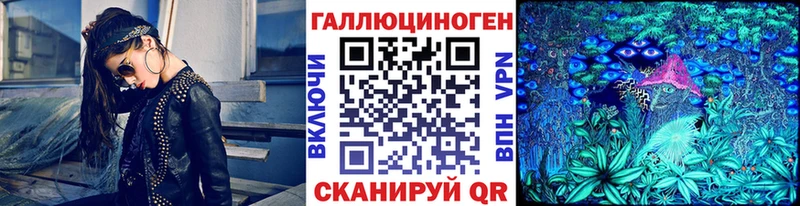 где можно купить наркотик  Ртищево  Галлюциногенные грибы ЛСД 